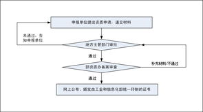 計算機系統集成企業資質認定與項目管理人員資質認證審查流程解析